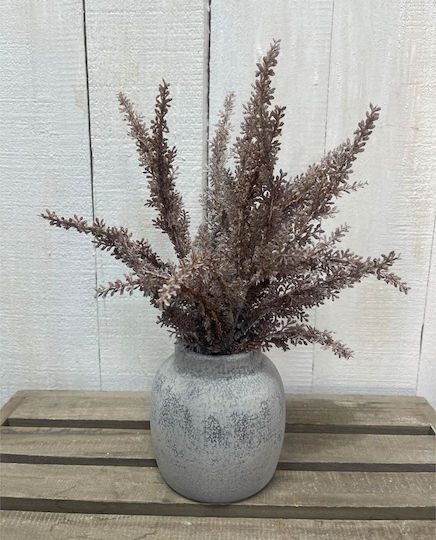 Pampas grass σε Γλαστράκι Γκρι Ankor Pampas grass σε Γλαστράκι Γκρι Ankor