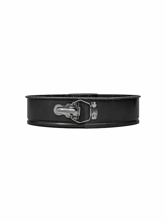 Cake Pan Carbon Steel 28.5x7cm 2 Bases