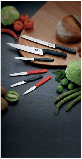 Victorinox Fibrox Knife Boning from Stainless Steel 15cm