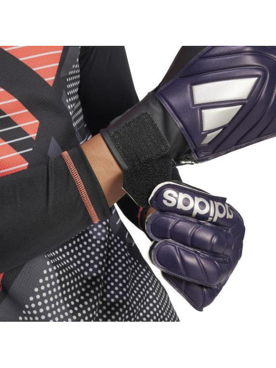 adidas Copa Голмански ръкавици за Възрастни Черен