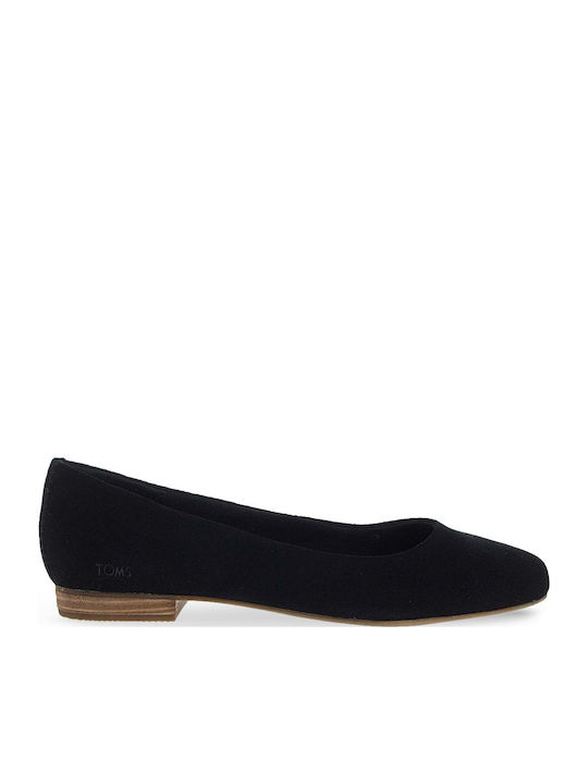 Toms