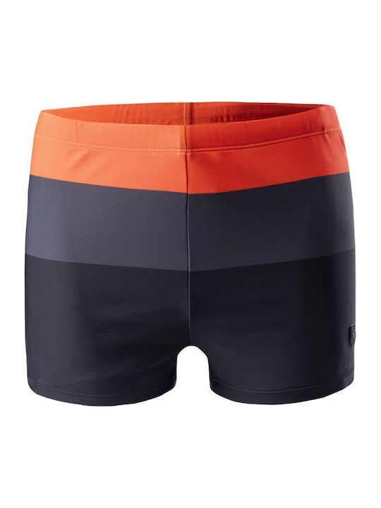 Men's Swimwear Shorts Multicolour Striped