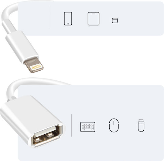 Adaptor Încărcător Avizar USB Femelă la Toning Masculin Alb