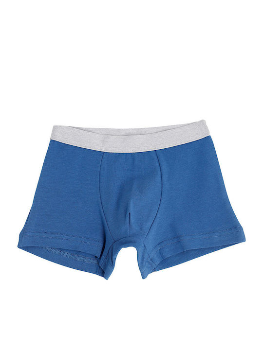 Cotonella Set of Kids' Boxers Blue-grey 3pcs