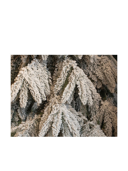 Christmas Tree Breithorn Snowy 260cm