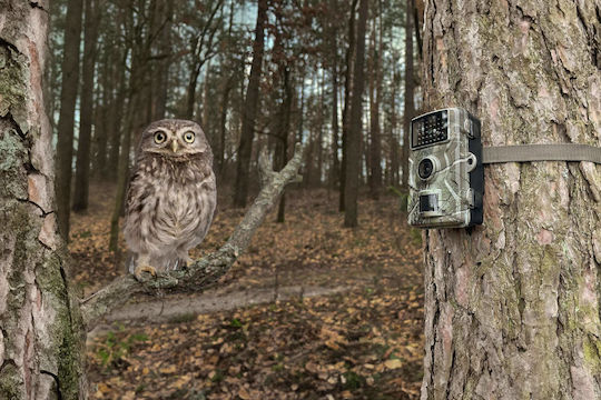 Cameră de Supraveghere Wildcam Technaxx Tx-256 Fullhd 1080p Ecran Color Ips 2" Senzor Pir Ir Ip66 Microsd Microfon Difuzor 8xaa/6v 1.5a Camuflaj