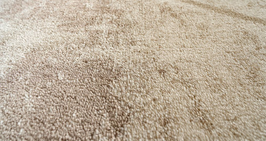 Isexan Allegra 1802 160x230cm Allegra