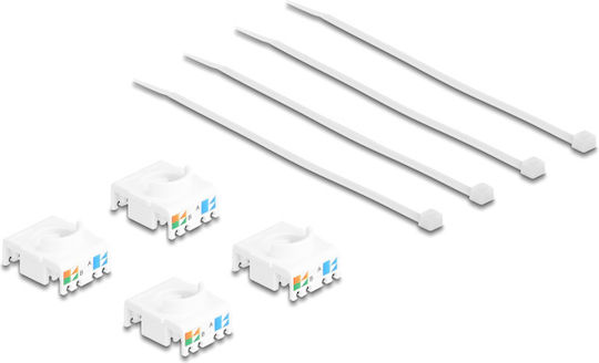DeLock Keystone 4τμχ (86051)