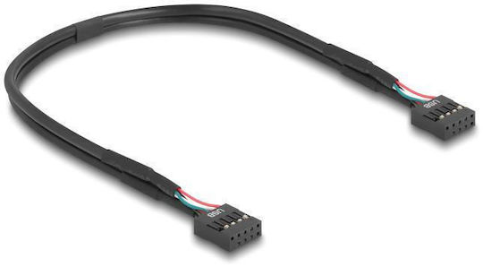 Delock Αντάπτορας Usb 2.0 Pin 2x Usb Type-e Key A 67176 Usb Pin Καλώδιο