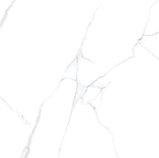 Panthermica Fliese Boden / Wand Innenbereich 160x80cm White