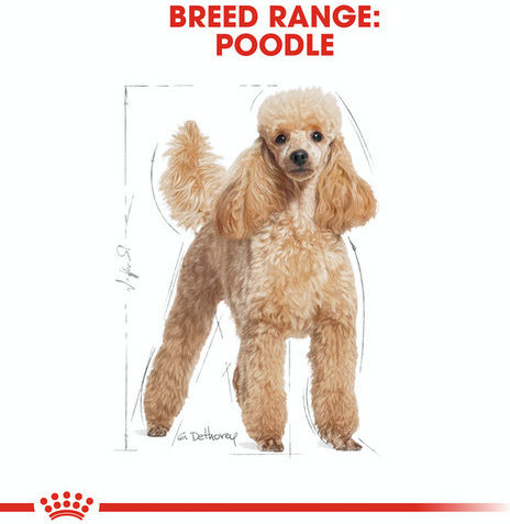 Royal Canin Poodle 1.5kg Dry Food for Adult Dogs with Tuna