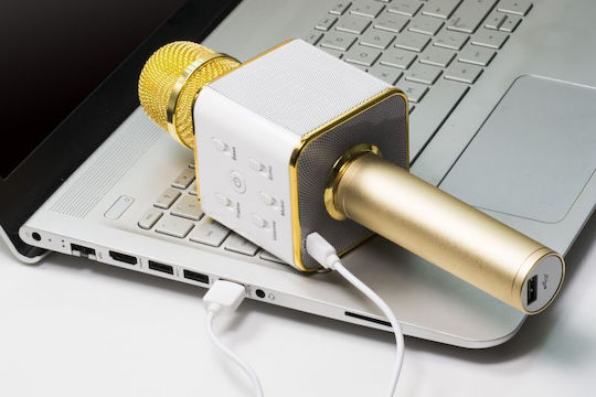 Technaxx Karaoke-Mikrofon Kabellos BT-X31 4685 Gold