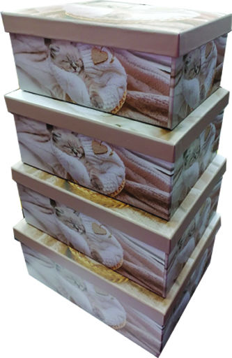 AGC Papier Aufbewahrungsbox mit Deckel 10 Stück