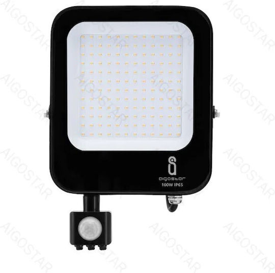Aigostar Στεγανός Προβολέας LED 100W Φυσικό Λευκό 4000K IP65