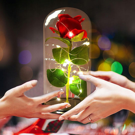 Ewige Rose Rot 21cm mit LED Korbi