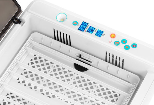 Incubator Hatching Machine 36 Chicken Eggs 60 W + Egg Candling Lamp