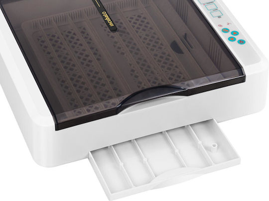 Incubator Hatching Machine 36 Chicken Eggs 60 W + Egg Candling Lamp