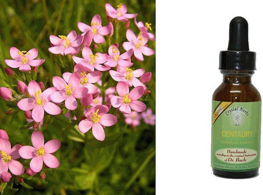 Crystal Herbs Κενταύρια (centaury) Ανθοΐαμα 25ml 1τμχ