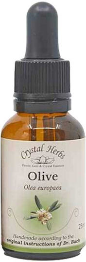 Crystal Herbs Ελιά (olive) Ανθοΐαμα 25ml 1τμχ