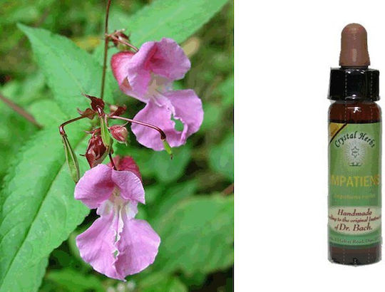 Crystal Herbs Έρωτας (impatiens) Flower Essence 10ml 1pcs