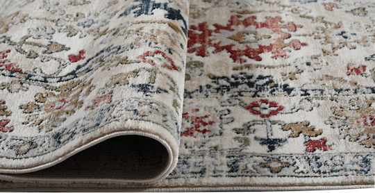Килим Allegra Valencia 885 Крем 200x290 Polcarpet