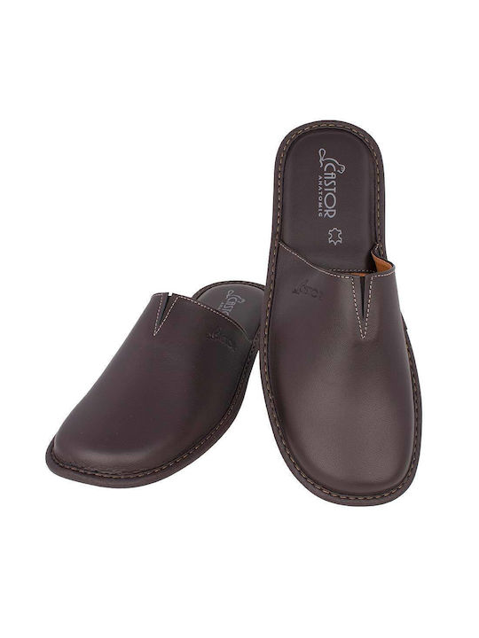 Castor Anatomic Men's Leather Slippers Brown