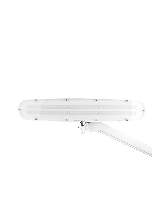 801-L LED Schreibtischlampe mit klappbarem Arm und Clip in Weiß Farbe