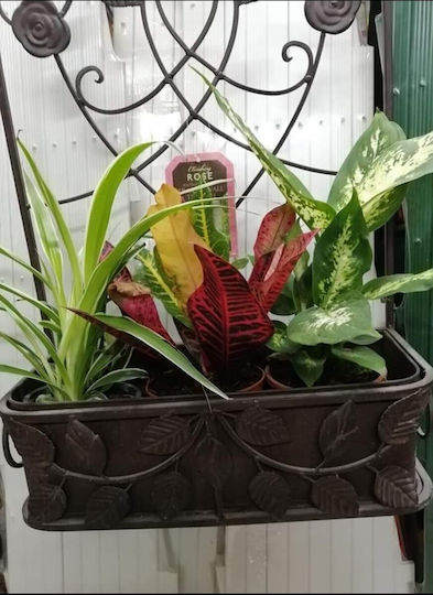 Gardman Саксия Метал Gardman Саксия Метал