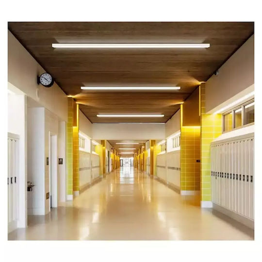 Aigostar Lighting Batten Outdoor with Integrated LED 38W