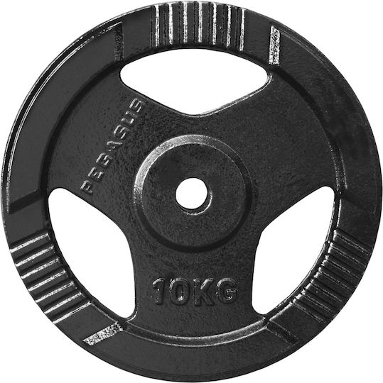 Pegasus Set of Plates Metal 1 x 5kg Ø29mm with Handles