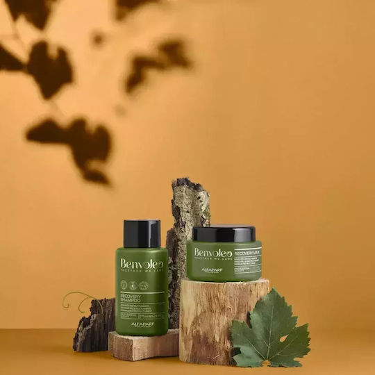 Alfaparf Milano Professional Benvoleo Sampon Reconstrucție/Hrană și Volum pentru Păr Deteriorat 275ml