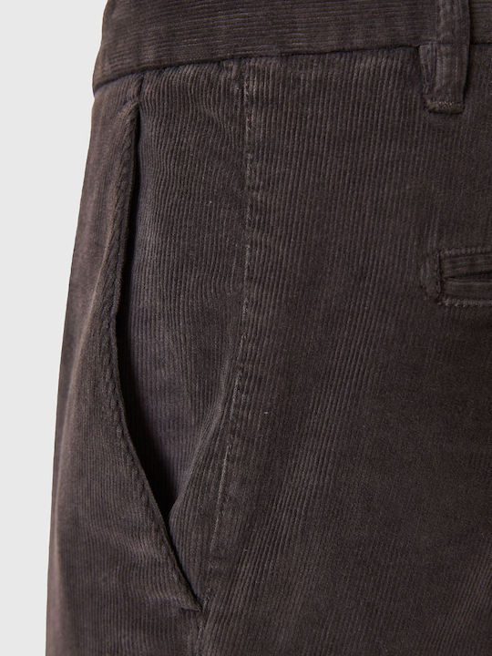 Trousers Chino in Regular Fit Gray
