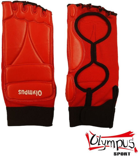Olympus Sport WTF Foot Schienbeinschoner Erwachsene Rot