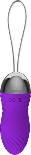 Armony Vibrator Ei mit Fernbedienung Lila
