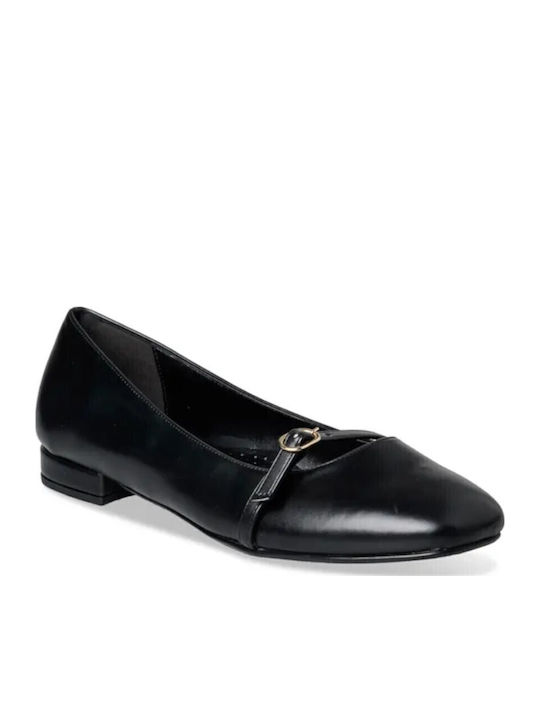 Envie Shoes Envie Shoes