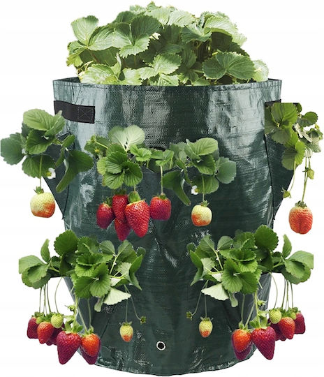 Pot Cascade Bag Vegetables Hanging Truscumbers Poodle Pockets