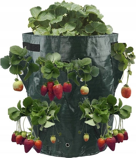 Pot Cascade Bag Vegetables Hanging Truscumbers Poodle Pockets