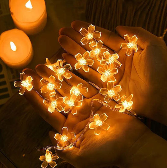 Luminele Solare de Tip Flori de Cireș 50 Leduri Alb Cald Multicolor 5m Lungime