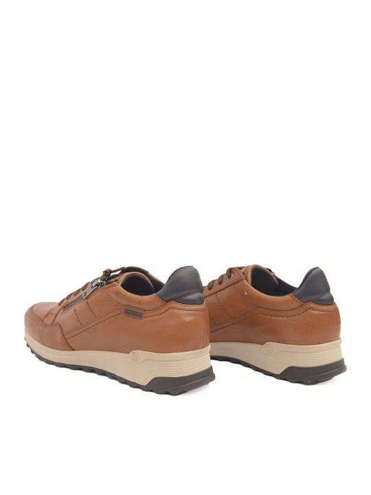 Anatomical Sneakers Tabac Brown