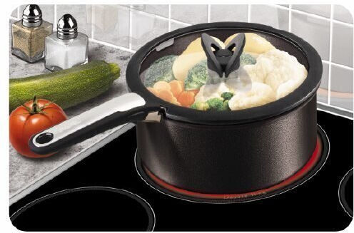 Tefal Glass Lid Tefal Ingenio 16 Cm L9846153