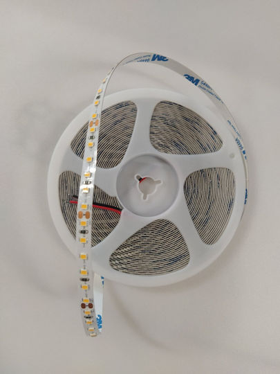 Home Lighting LED Strip 24V Warm White Light 10m