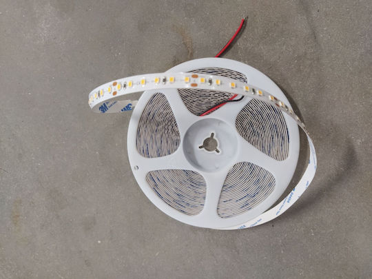 Home Lighting LED-Streifen 24V Warmes Weiß Licht 10m