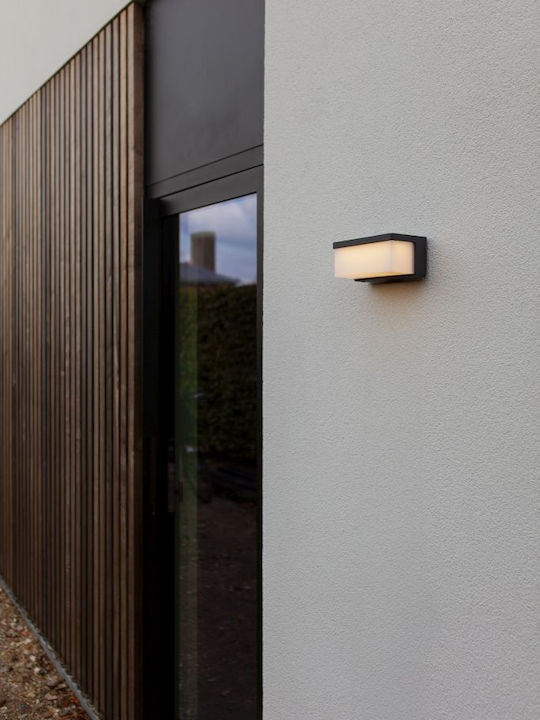 Lutec Wall-Mounted Outdoor Light
