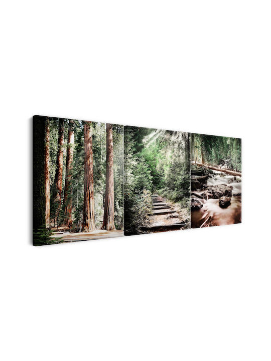 Decowalls Трикратен Картина Платнен 60x120см