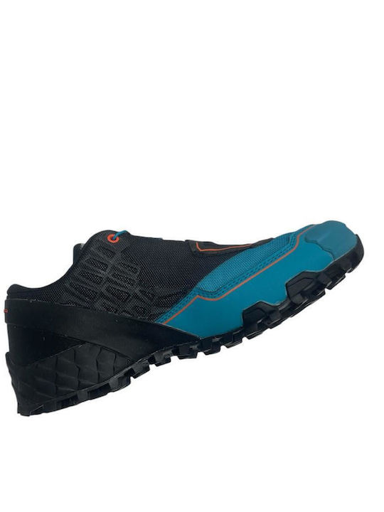 Dynafit Feline SL GTX Gore-Tex Trail Multicolour