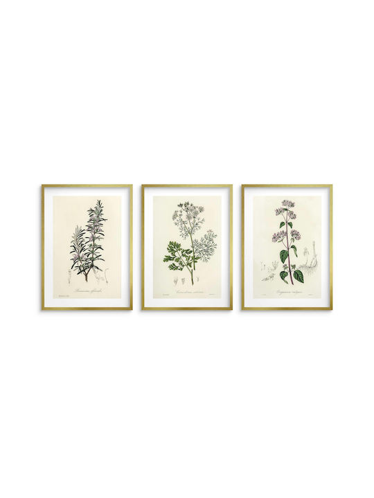 Küchenwandposter Kräuterzweige Dekoratives Kräutergarten 3x 30x40