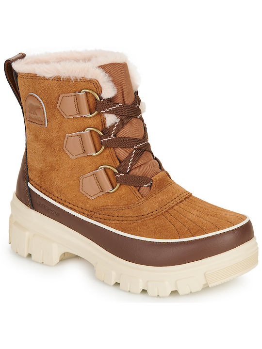 Sorel Women's Boots Brown