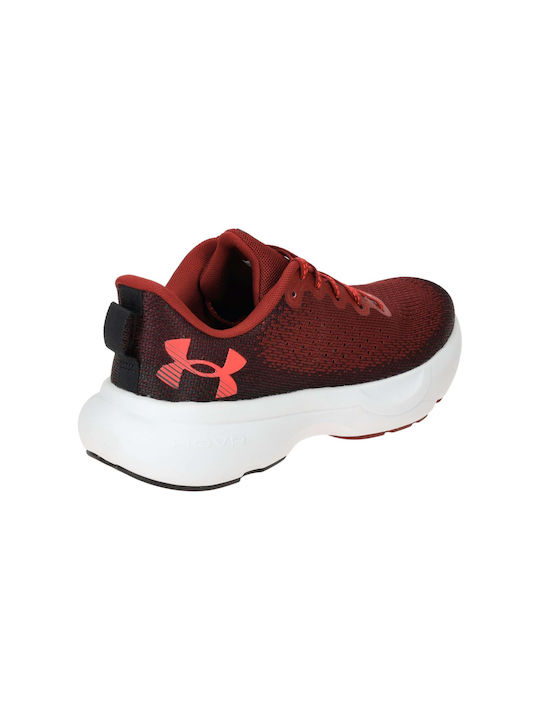 Infinite Sport Shoes Running Bordeaux Black Red