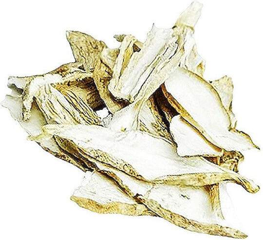 Baharatiko Сушени Гъби Coprinus 100g