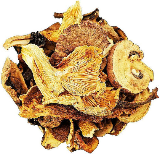 Baharatiko Getrocknete Waldpilzmischung 100g